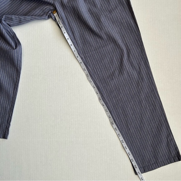 NWOT Sundance Women’s Blue Gray Striped Pleated Amelia Trouser Pants Size 6P - Picture 6 of 11